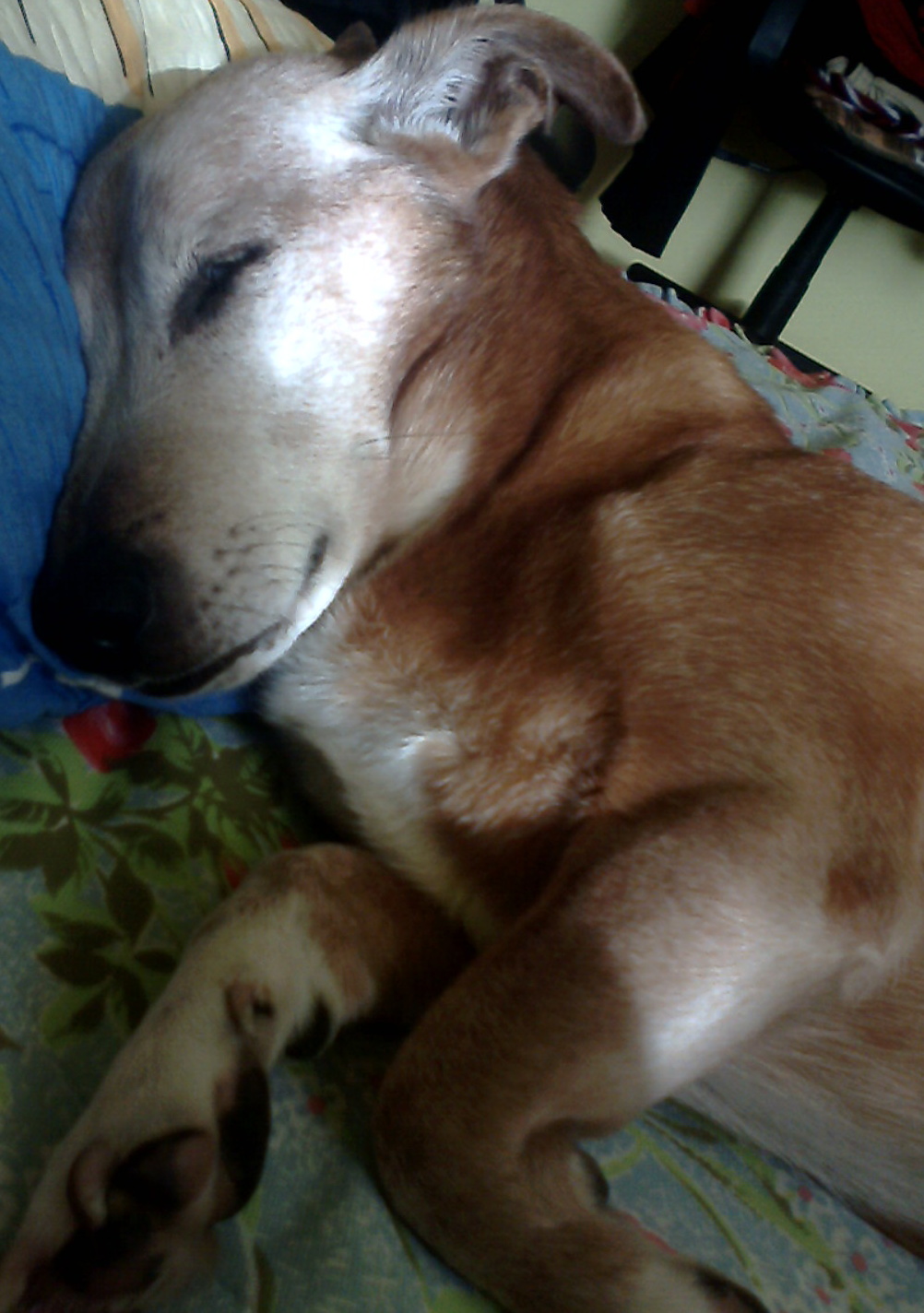 IMG0122A.jpg